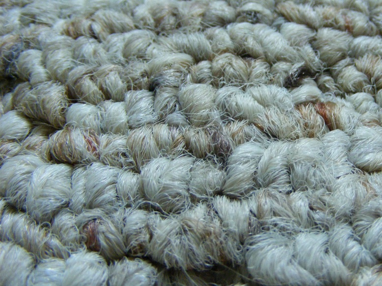 Berber_Carpet_(macro)